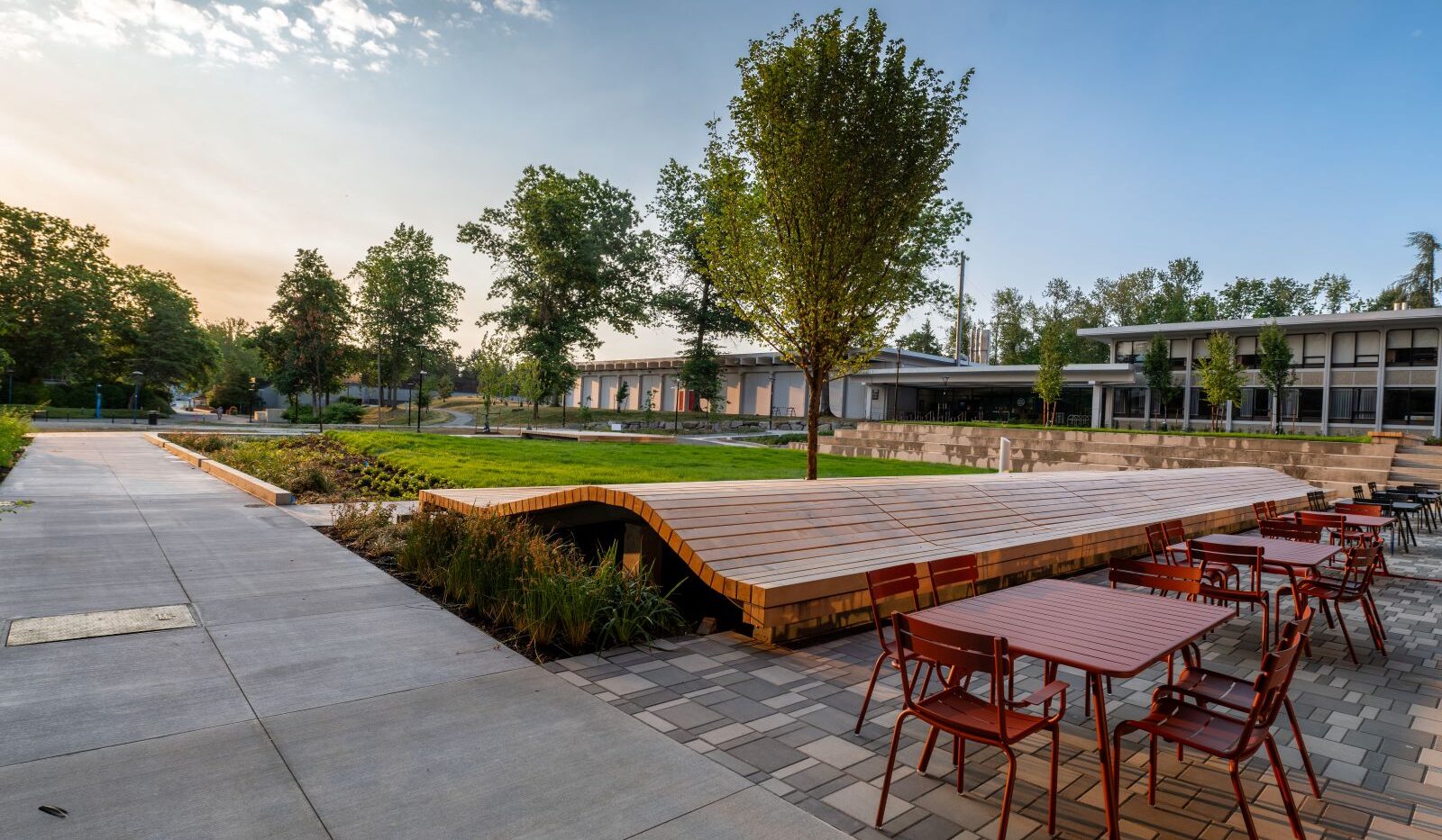 Landscape of Tall Timber Student Housing Courtyard at sunset
